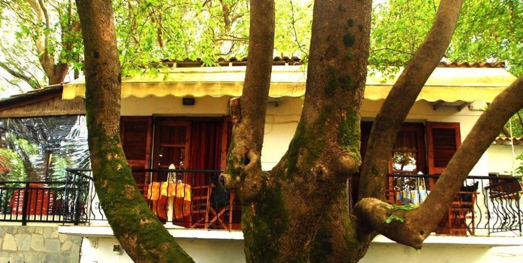 Parselia Rooms Therma  Esterno foto