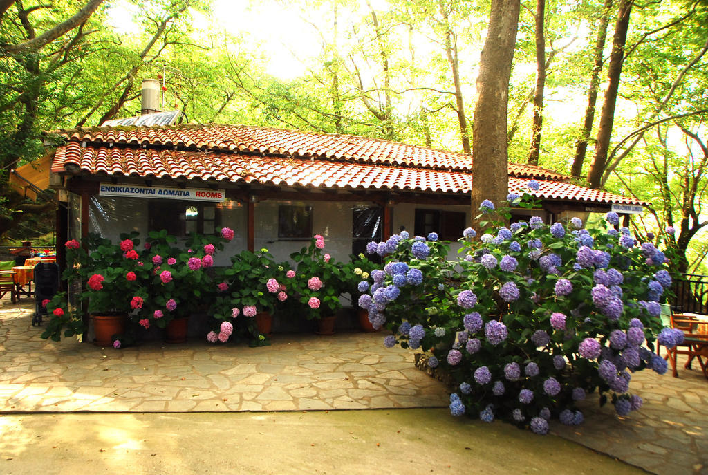 Parselia Rooms Therma  Camera foto